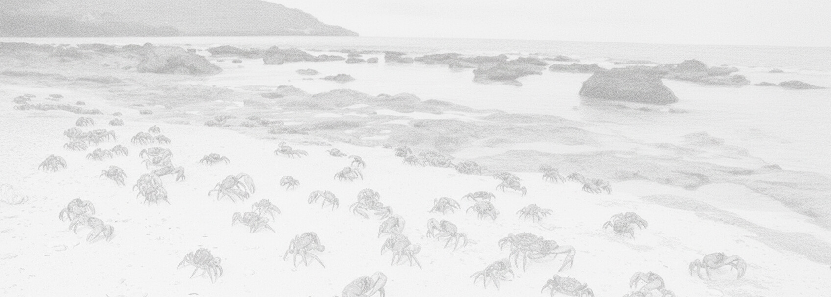 เกาะคริสต์มาส การยื่นขอวีซ่าและเอกสารที่ต้องการ